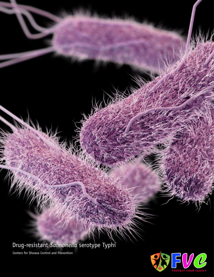 Bệnh thương hàn và vắc xin Typhim Vi phòng bệnh
