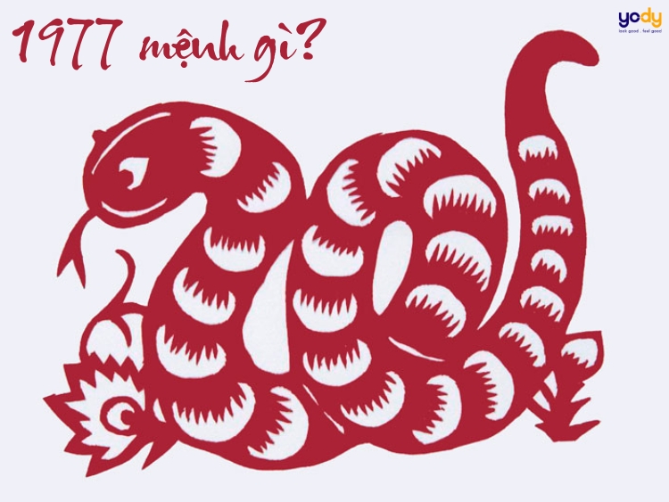 Đinh Tỵ 1977 mệnh gì? Hợp màu nào? Vận mệnh ra sao?
