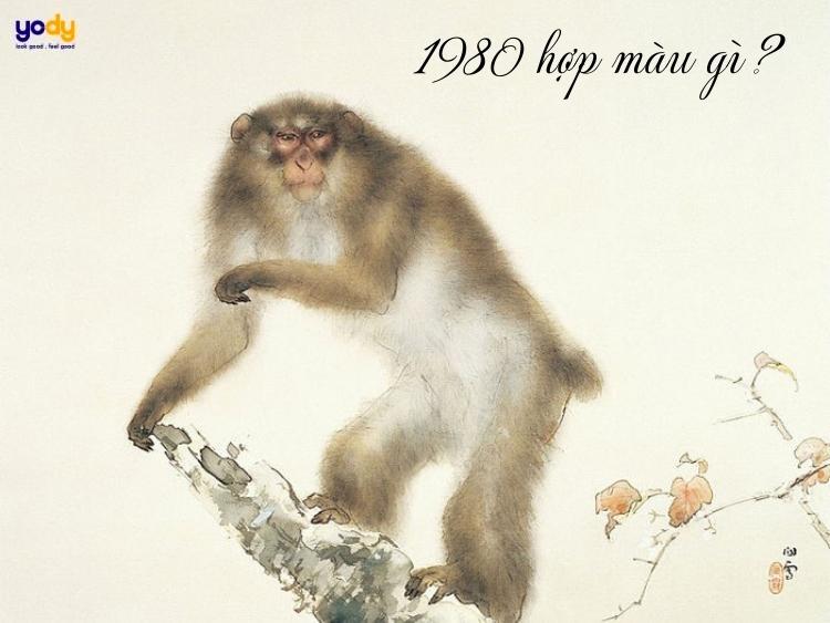 Canh Thân 1980 hợp màu gì? Màu sắc đem lại vượng khí, may mắn