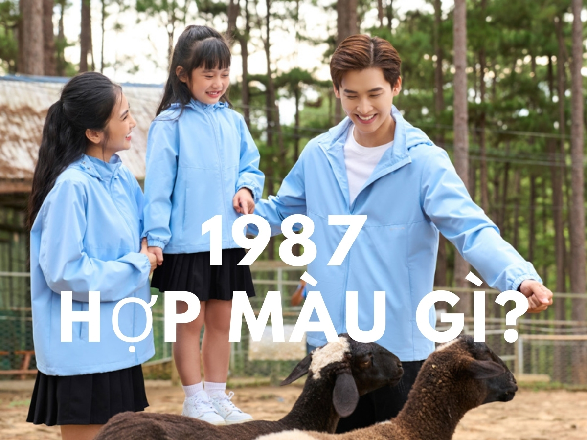 1987 hợp màu gì? Gợi ý màu sắc tăng tài lộc cho Đinh Mão