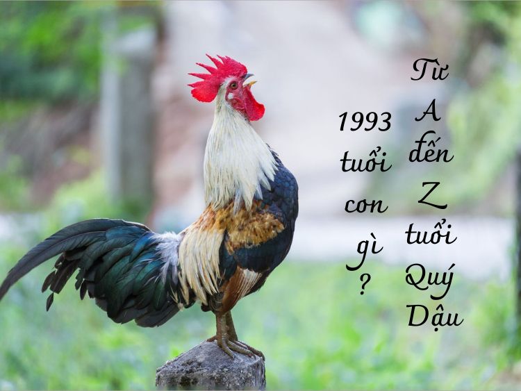 1993 tuổi con gì? Thông tin từ A đến Z tuổi Quý Dậu
