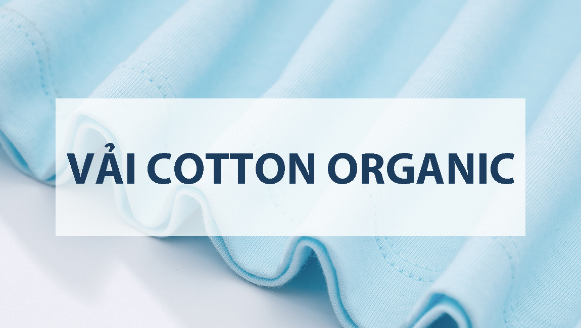 Vải Cotton Organic là gì? Những đặc điểm của Cotton Organic