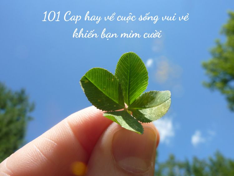 101 Cap hay về cuộc sống vui vẻ khiến bạn mỉm cười 101 Cap Hay Về Cuộc Sống Vui Vẻ Khiến Bạn Mỉm Cười