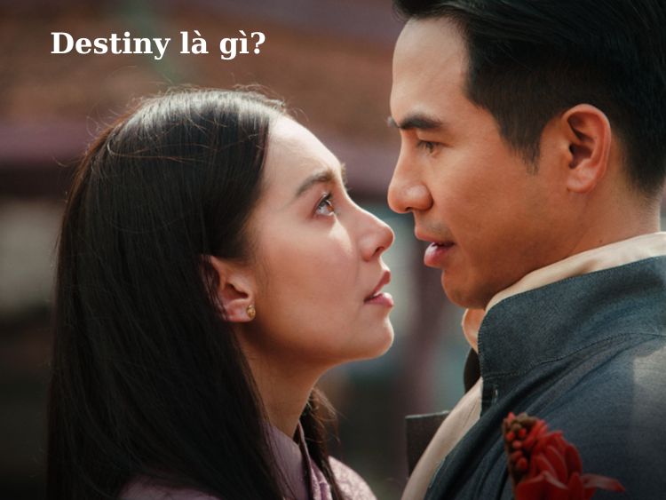Destiny là gì? Từ điển nổi tiếng Gen Z với trào lưu mới nổi
