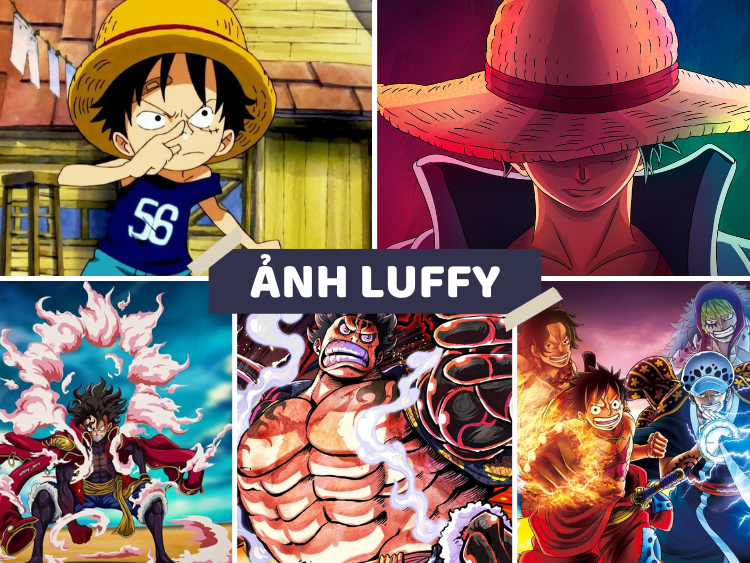 Ảnh Luffy Ace Sabo Lúc Nhỏ Đẹp ❤️ Ảnh Luffy Hồi Nhỏ Cute