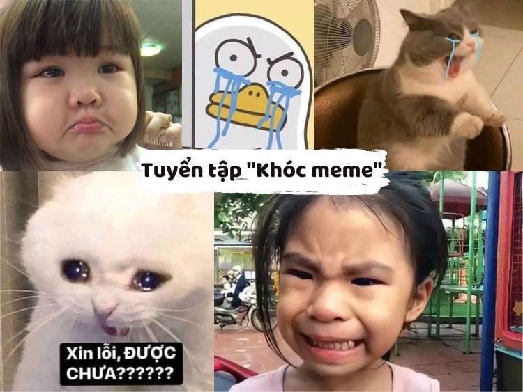 Loạt cảnh khóc tạo thành “meme” gây cười trên phim