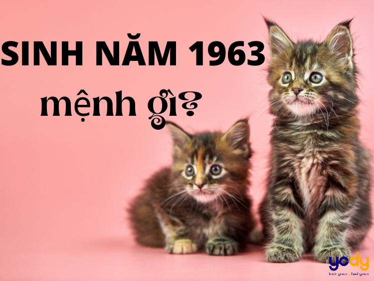 Sinh năm 1963 mệnh gì? Giải mã từ A - Z về Quý Mão