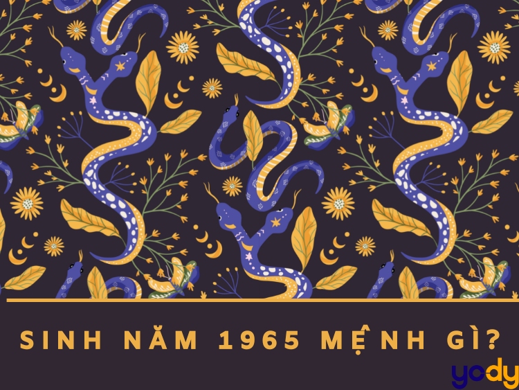 Sinh năm 1965 mệnh gì? Tổng quan về vận mệnh, sự nghiệp