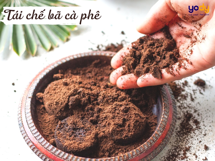 Bật mí 10+ ý tưởng tái chế bã cà phê cực hữu dụng và bổ ích