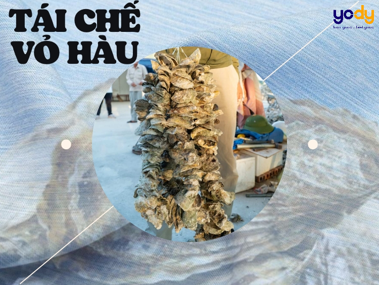 Tái chế vỏ hàu - Sự đổi mới cho xu hướng thời trang bền vững