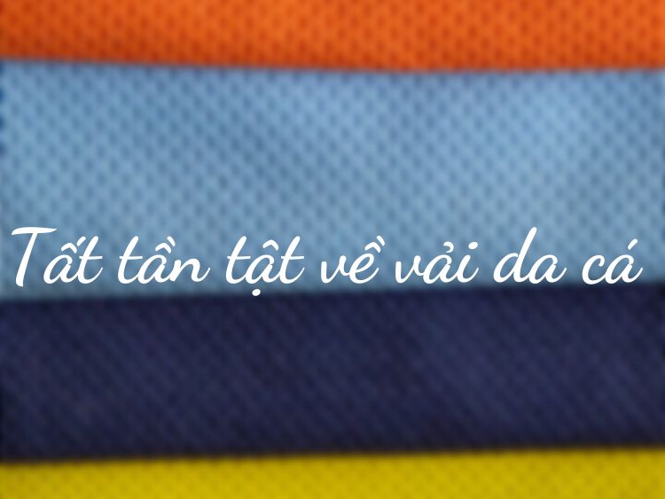 Vải da cá là gì? Nguồn gốc, ưu điểm và ứng dụng của vải da cá