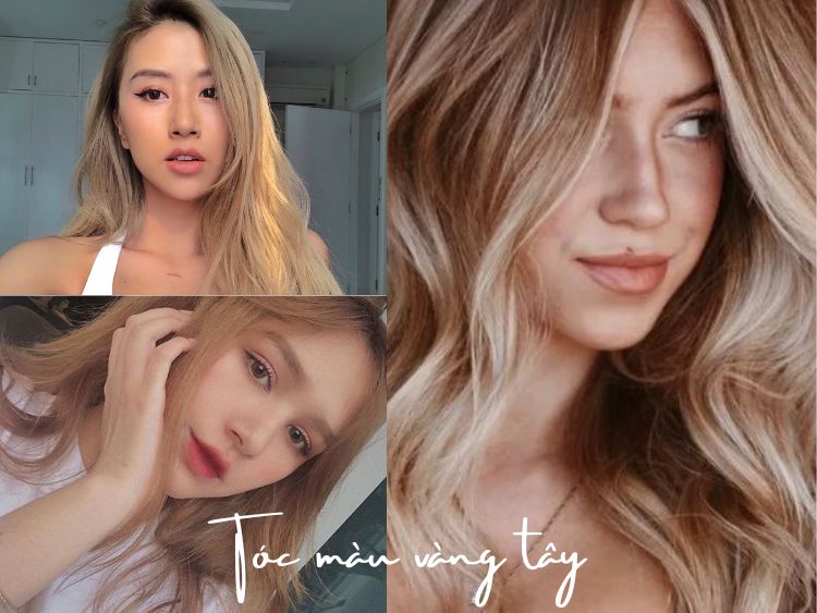 NHUỘM TÓC MÀU VÀNG TÂY SUPER BLOND  SUPER BLONDE  Ở ĐÂU CHUYÊN NGHIỆP  NHẤT HÀ NỘI  Dạy nghề tóc cấp tốc cắt tóc nam nữ học phí bảng giá địa chỉ