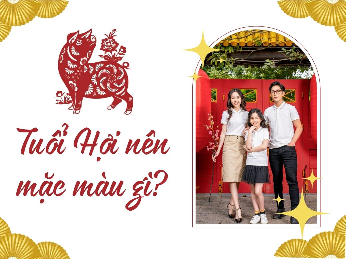 Tuổi Hợi hợp màu gì năm 2023 để phát tài phát lộc?
