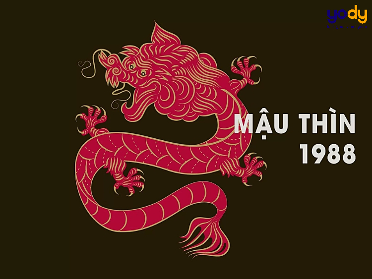 Giải mã tính cách tình yêu, đường đời của tuổi Mậu Thìn 1988