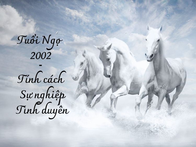 Tuổi Ngọ 2002 - Những đặc điểm về tính cách và sự nghiệp