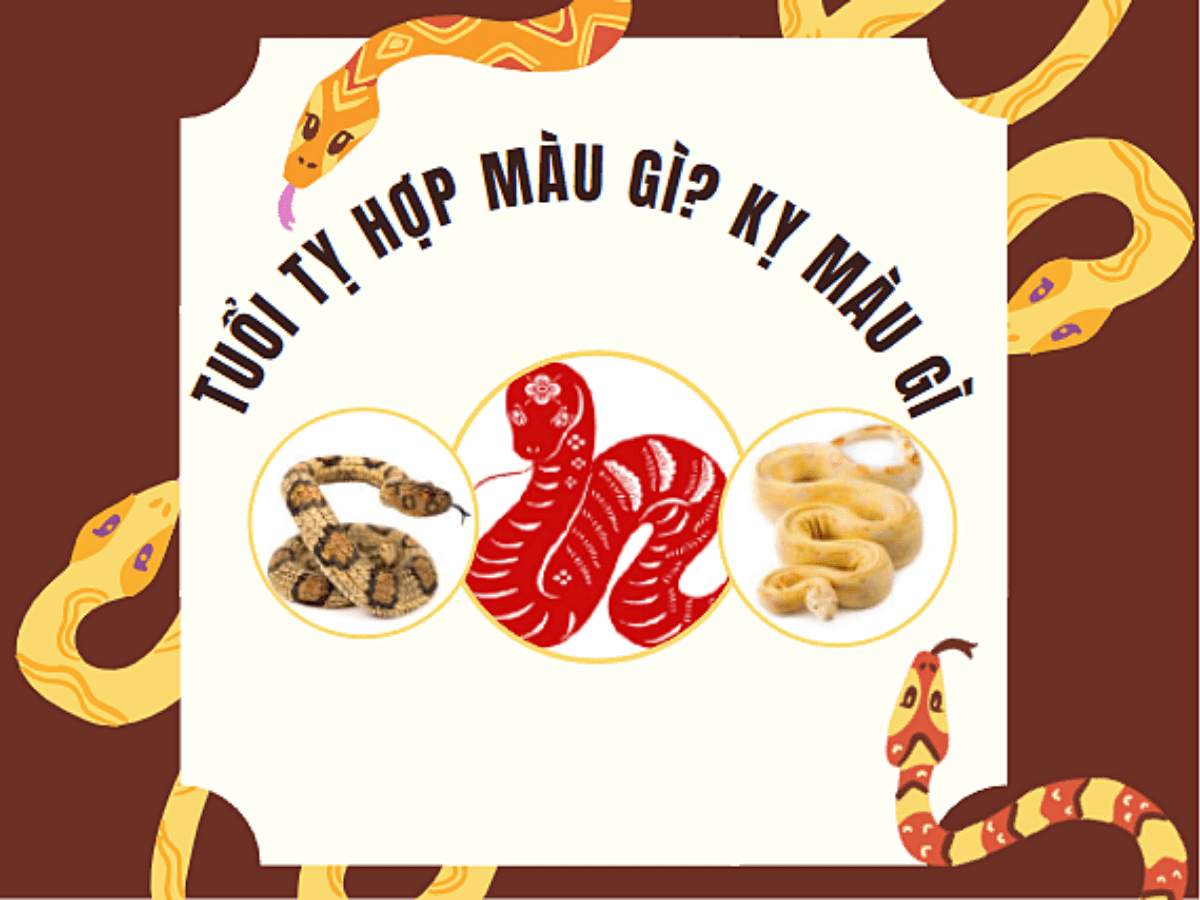 Tuổi Tỵ hợp màu gì, kỵ màu gì? Màu sắc đem lại thịnh vượng, may mắn