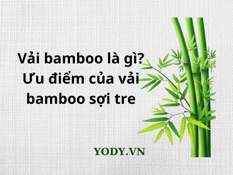 Vải bamboo là gì? Đặc tính vượt trội của loại vải này thế nào?