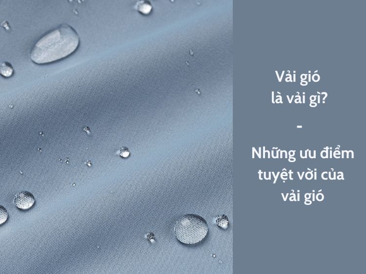 Vải gió là vải gì? Những ưu điểm vải gió mang lại
