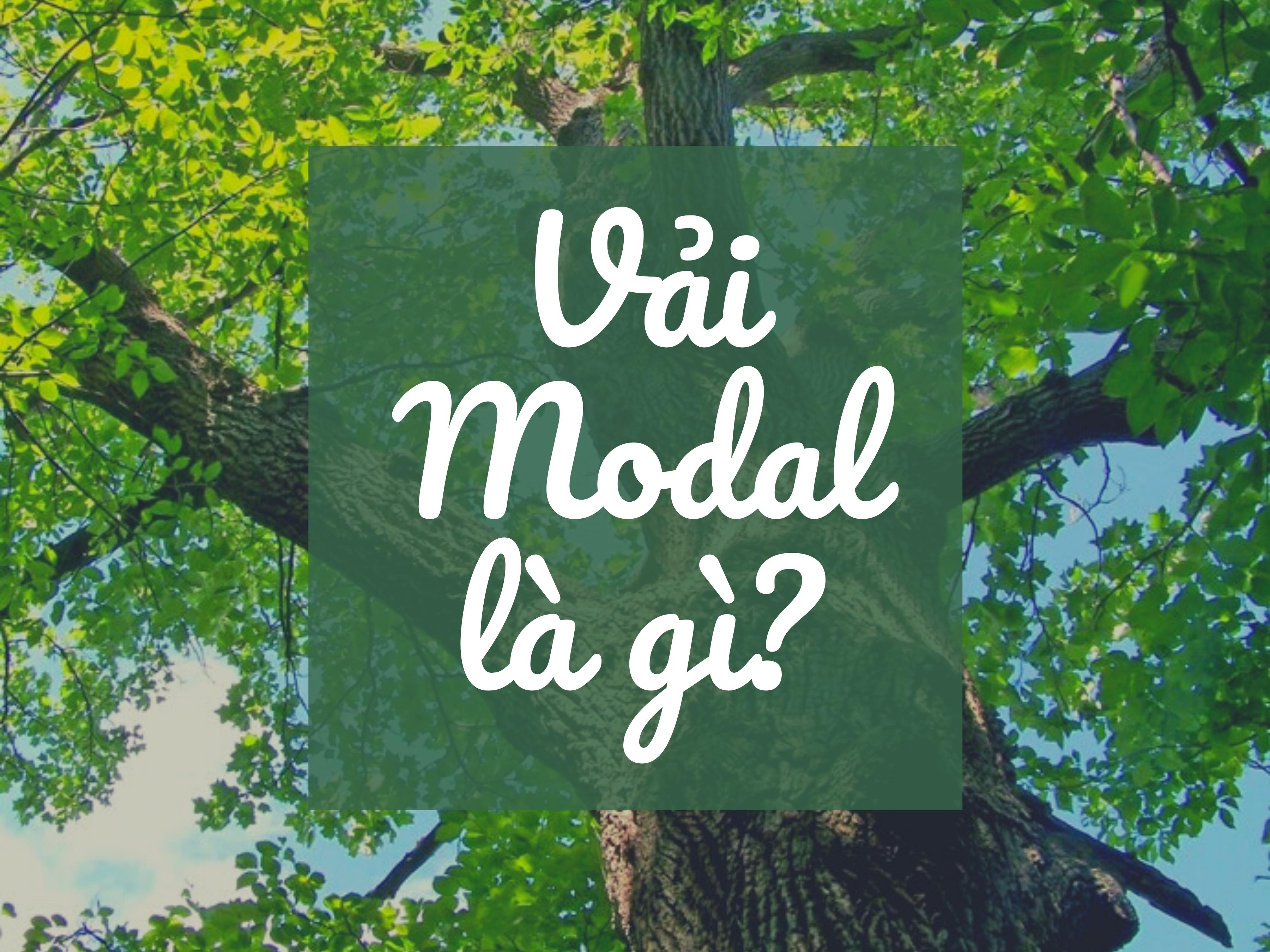 Vải Modal là gì? Đặc tính và ứng dụng trong thời trang