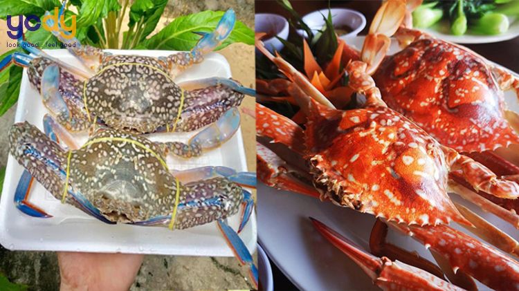 ăn gì ngon ở phú quốc