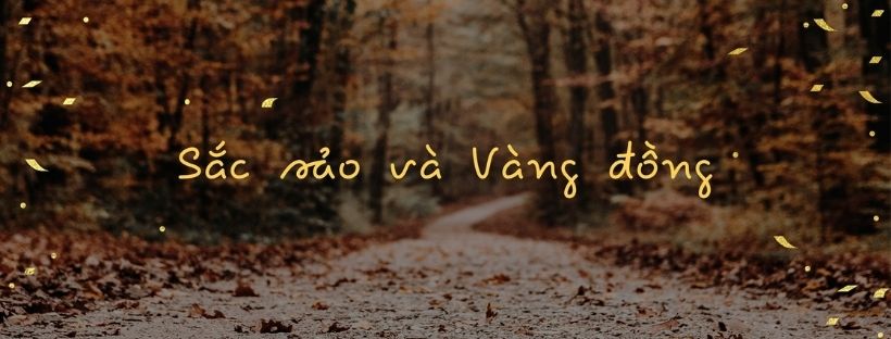 Ảnh bìa facebook đẹp nhất 2023
