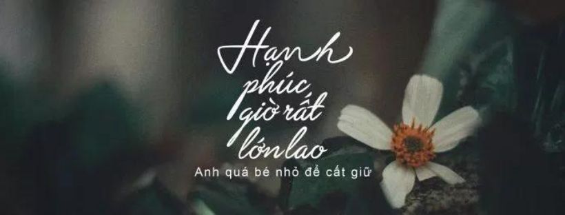 Mẫu ảnh bìa facebook đẹp