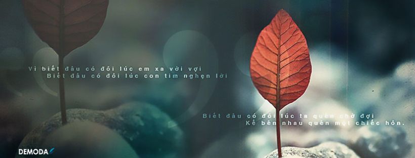 Ảnh bìa facebook đẹp cho nam