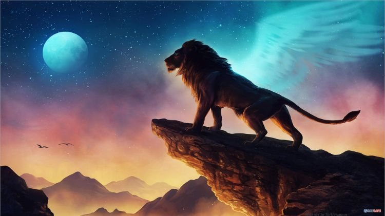 8 điều thú vị về sư tử - chúa sơn lâm đứng đầu muông thú