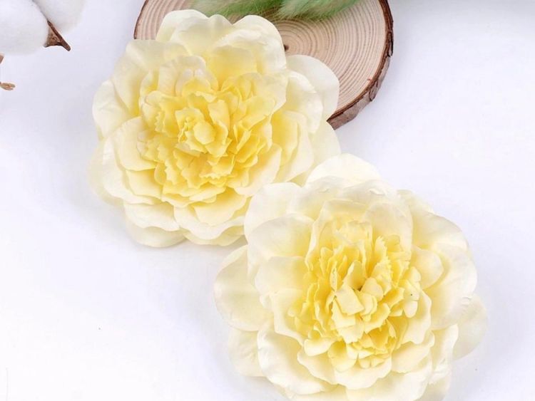 Hình nền hoa mẫu đơn (Peony) cho iPhone vô cùng đẹp mắt dành cho bạn