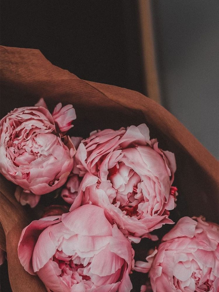 Top 101+hình ảnh hoa hồng đẹp,lãng mạn nhất thế giới - LamKem.Net