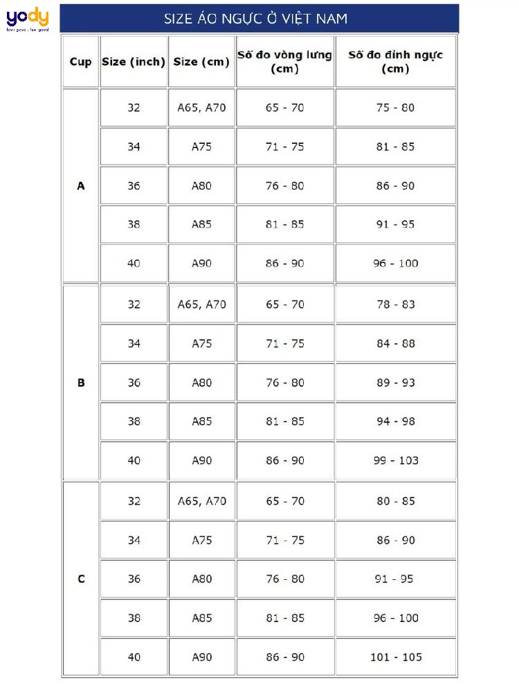 Cup ngực ABC là gì? Phân loại những cup ngực này như thế nào? - Nhà thuốc  FPT Long Châu