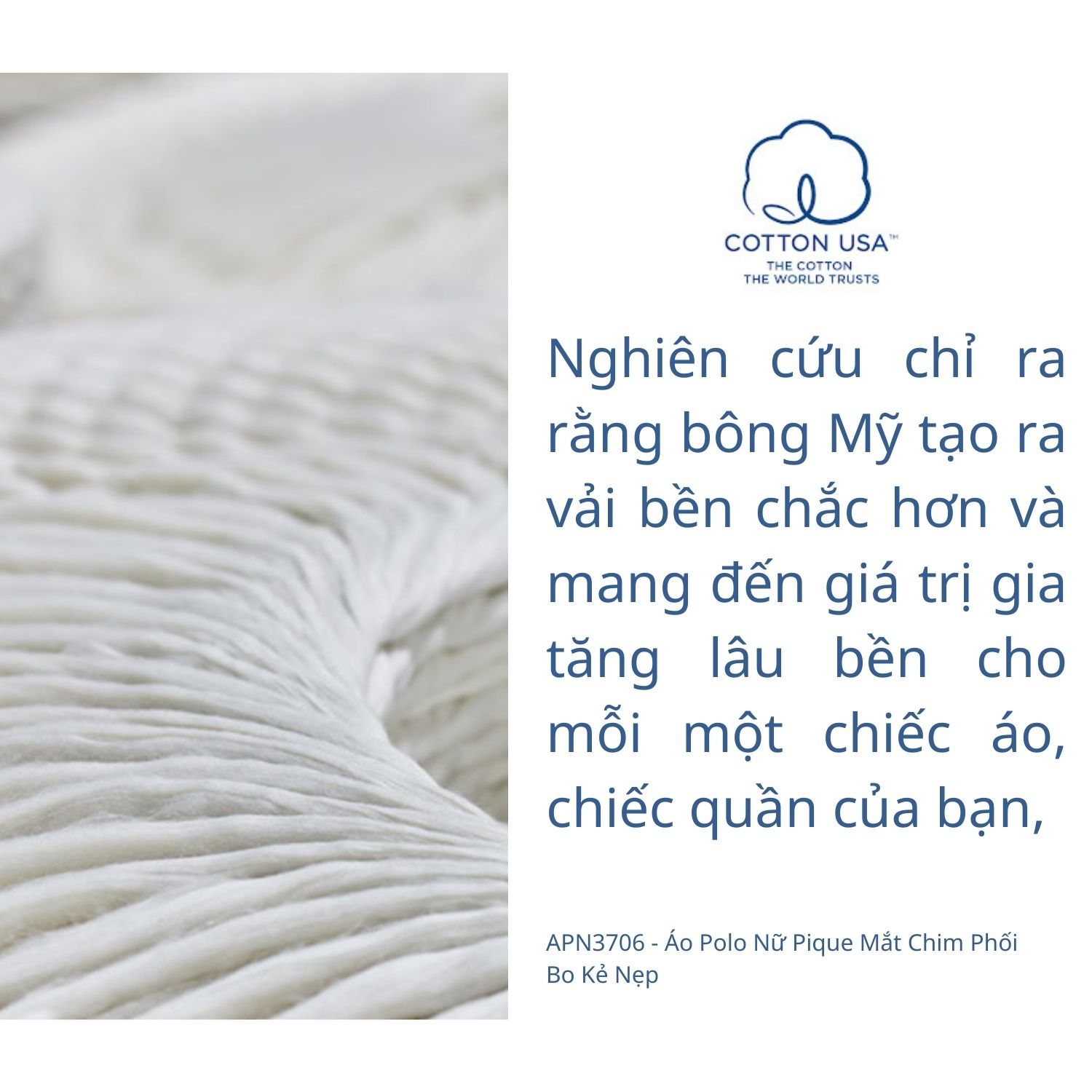 ao polo yody vai cotton my mat chim