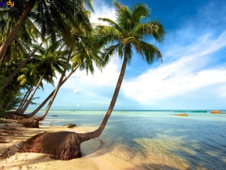 Đến Bãi Sao Phú Quốc chơi gì