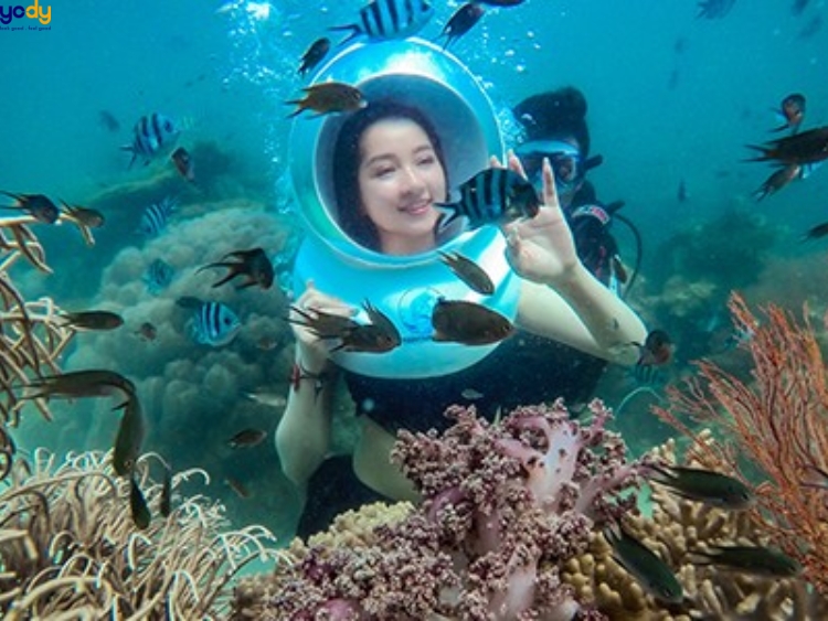 Đến Bãi Sao Phú Quốc chơi gì