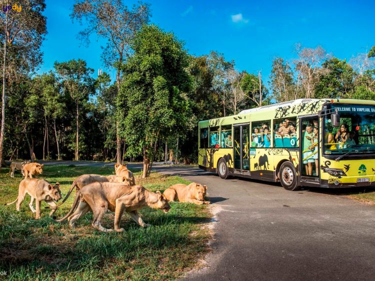Vinpearl Safari