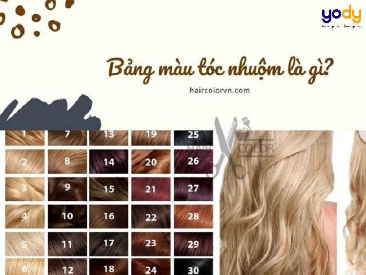 Bảng màu nhuộm phủ bạc Hàn Quốc dạng gội Richenna - TTP Cosmetics