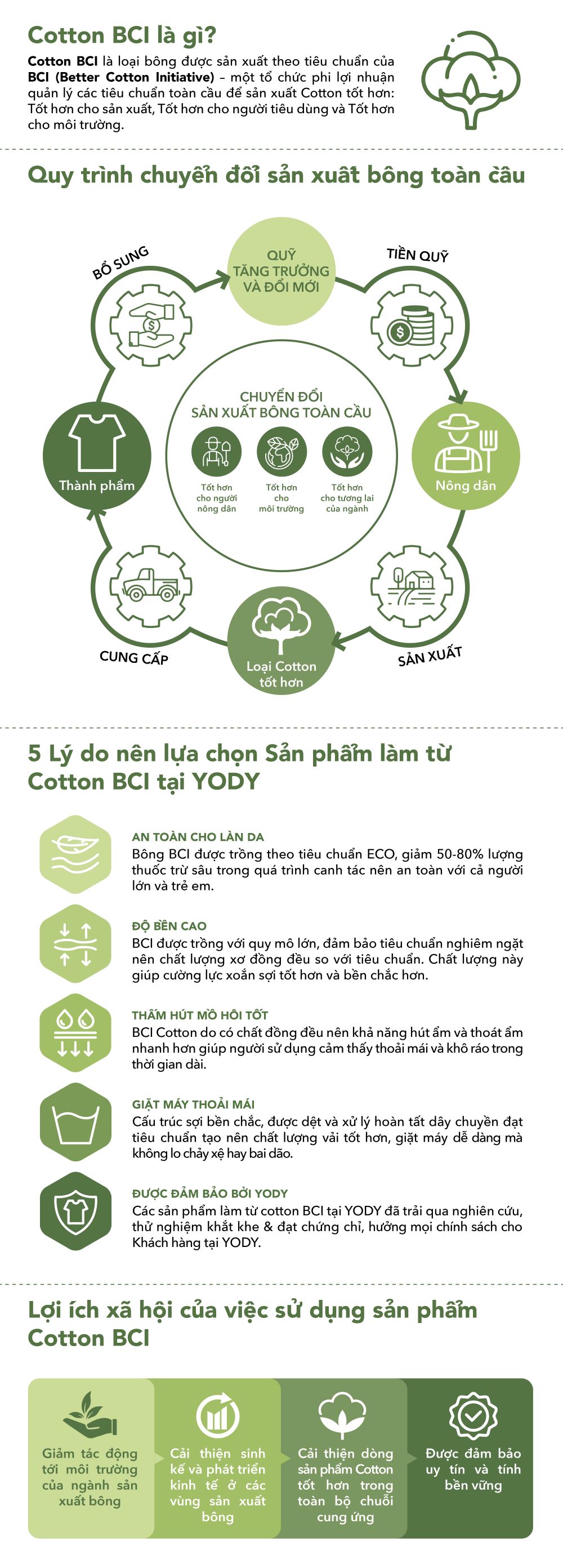 Áo Thun Nữ Cơ Bản Cotton BCI