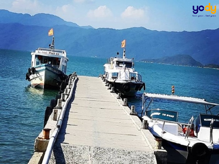  Ưu thế đặc biệt