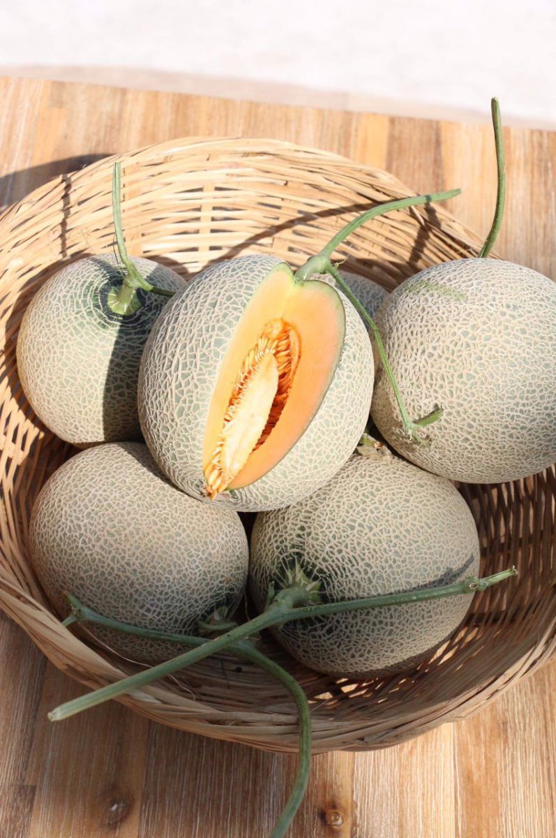 cách chọn dưa lưới ngon