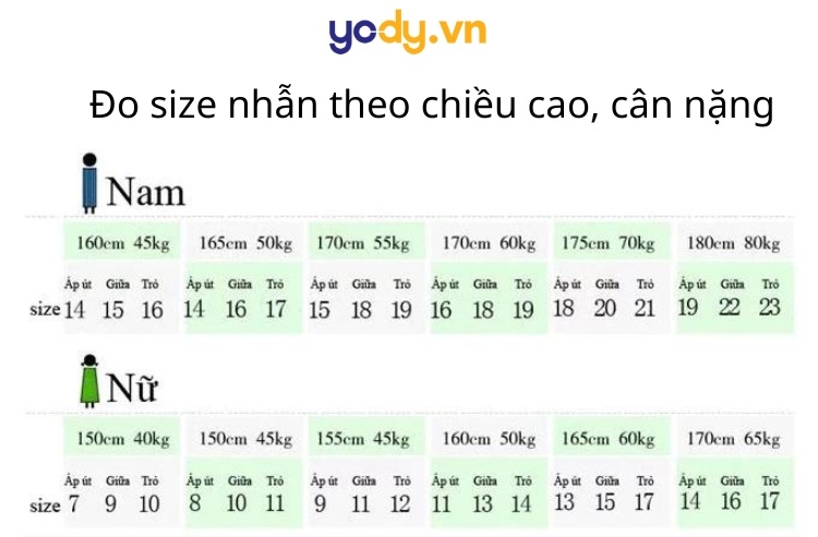 Xác định size nhẫn chuẩn theo chiều cao, cân nặng