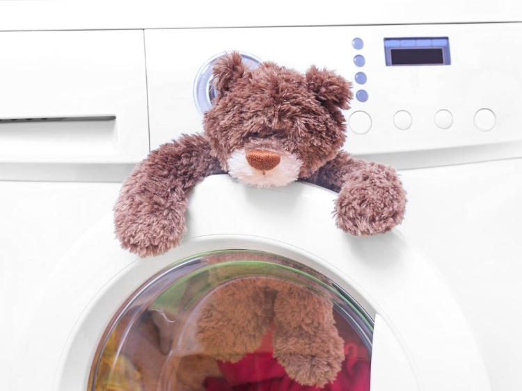Máy giặt gấu bông