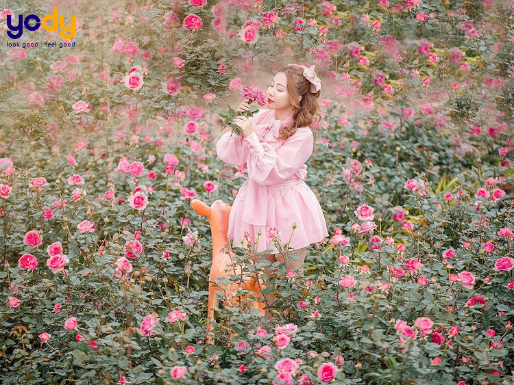Bật mí 6 cách chụp ảnh với hoa hồng trong trẻo như nàng thơ
