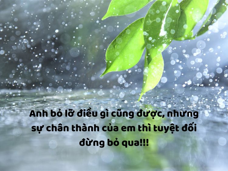 Cap hay về cuộc sống vui vẻ, hạnh phúc