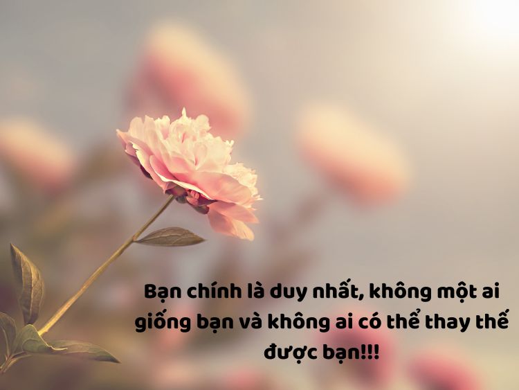 Cap hay về cuộc sống vui vẻ khiến bạn mỉm cười