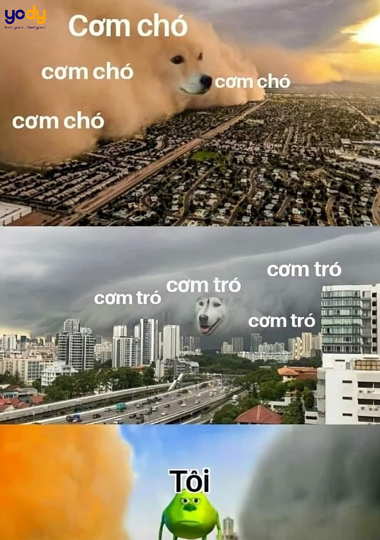 Bâu và tình mới đang là địa chỉ phát cẩu lương chất lượng cao độ sát  thương lên đến level max  Netizen  Việt Giải Trí