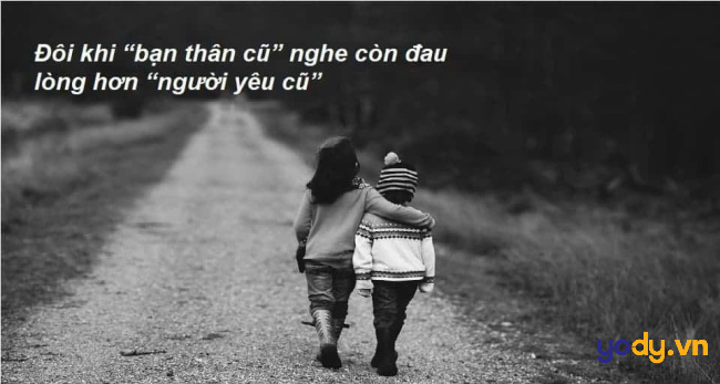 Câu nói hay về tình bạn