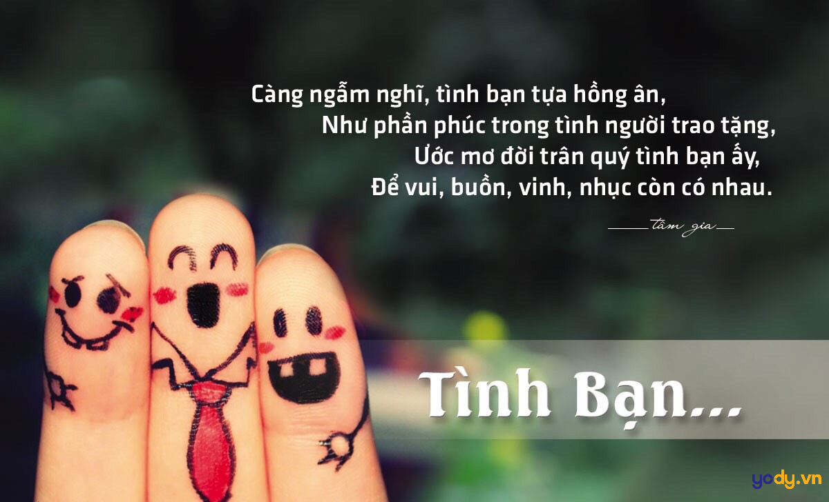 Câu nói hay về tình bạn