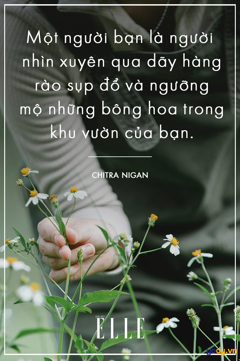 Câu nói hay về tình bạn