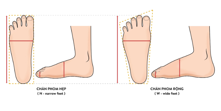 Sự khác biệt giữa chân rộng và chân hẹp