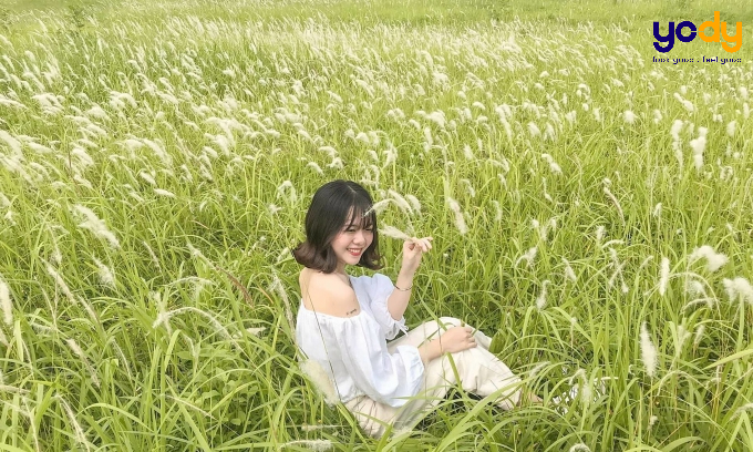 chụp ảnh đồng cỏ xanh